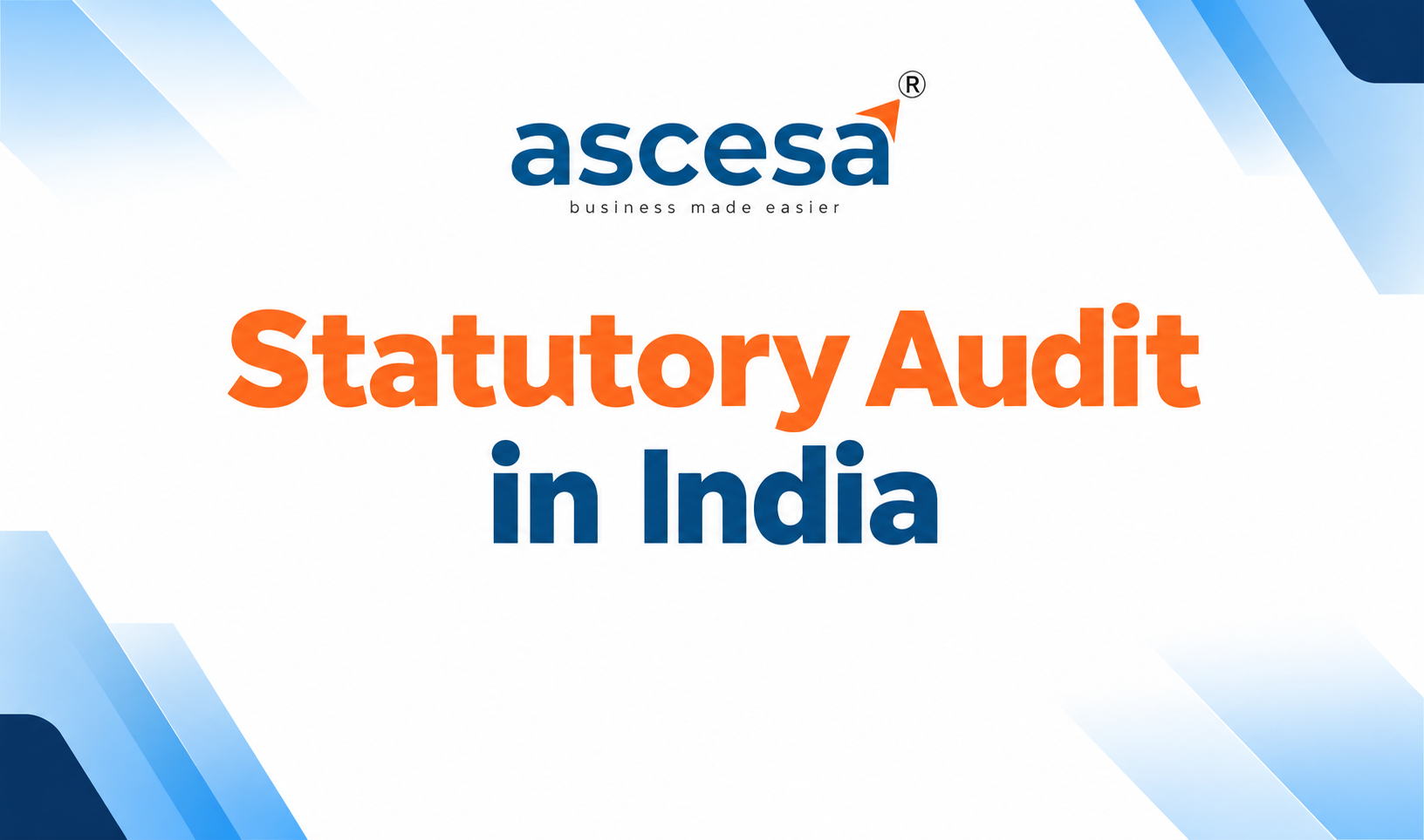 Statutory audit